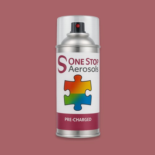 RAL 020 50 30 Aerosol Spray Paint