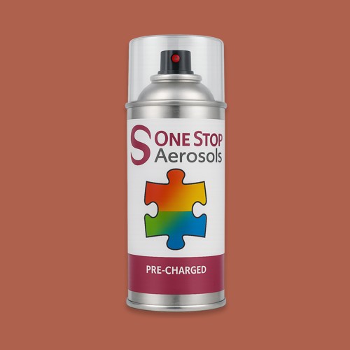 RAL 040 50 40 Aerosol Spray Paint