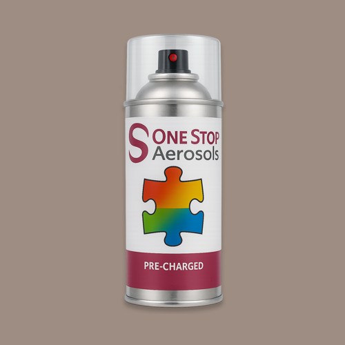 RAL 060 60 10 Aerosol Spray Paint
