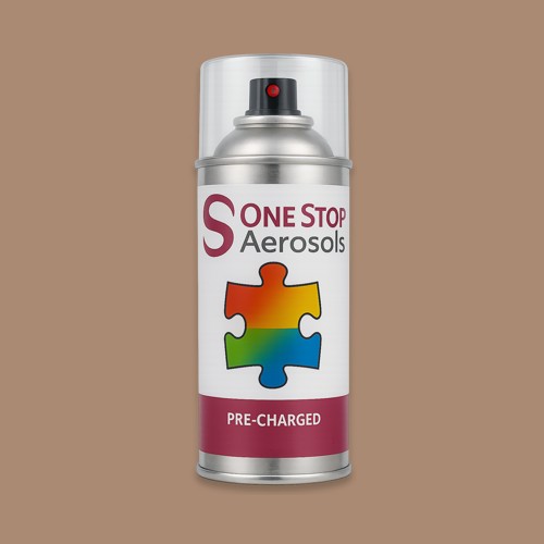 RAL 060 60 20 Aerosol Spray Paint