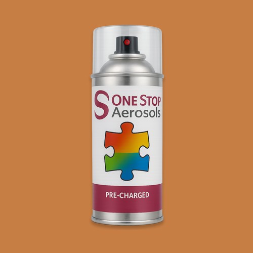 RAL 060 60 50 Aerosol Spray Paint