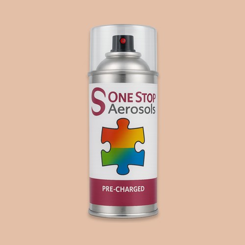 RAL 060 80 20 Aerosol Spray Paint