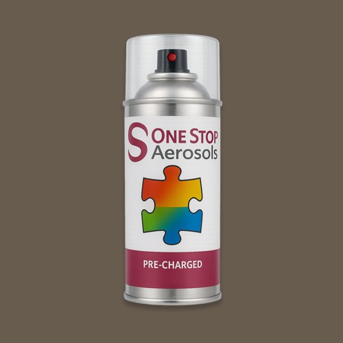RAL 070 40 10 Aerosol Spray Paint