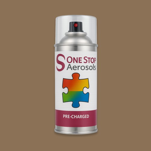 RAL 070 50 20 Aerosol Spray Paint