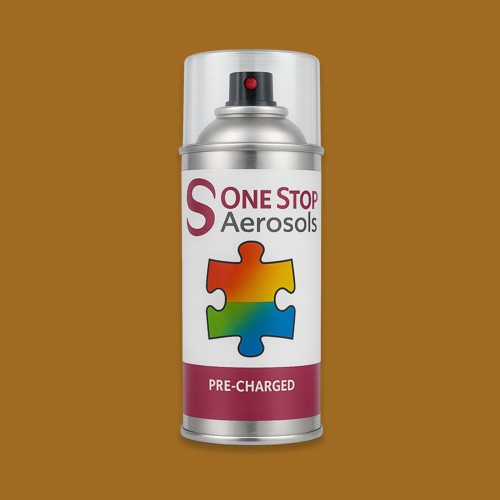 RAL 070 50 50 Aerosol Spray Paint
