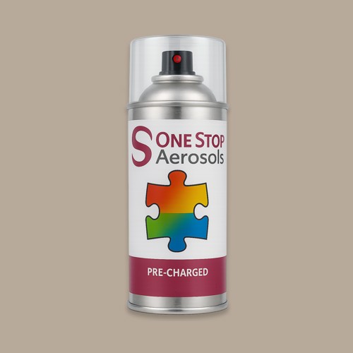 RAL 070 70 10 Aerosol Spray Paint