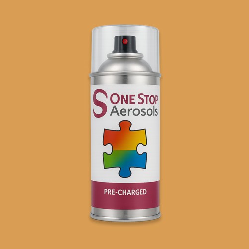 RAL 070 70 50 Aerosol Spray Paint