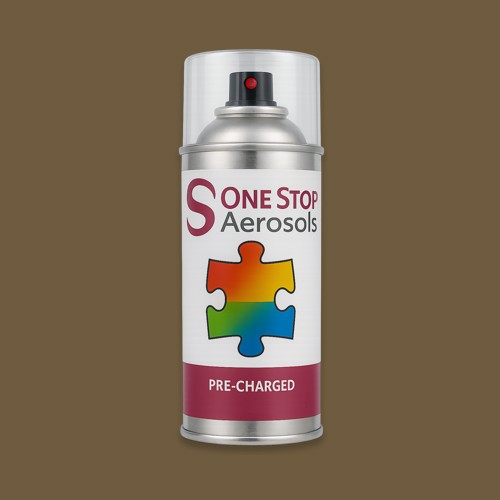 RAL 075 40 20 Aerosol Spray Paint