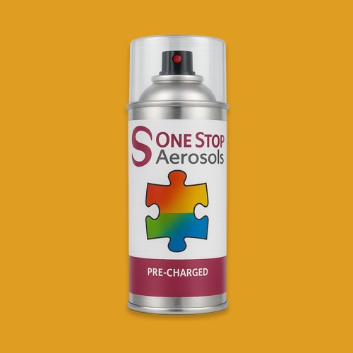 RAL 075 70 70 Aerosol Spray Paint