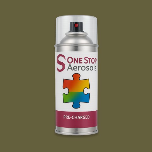 RAL 095 40 20 Aerosol Spray Paint