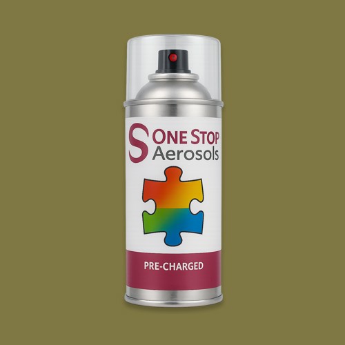 RAL 095 50 30 Aerosol Spray Paint