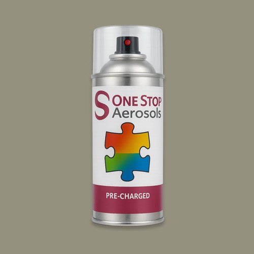 RAL 095 60 10 Aerosol Spray Paint