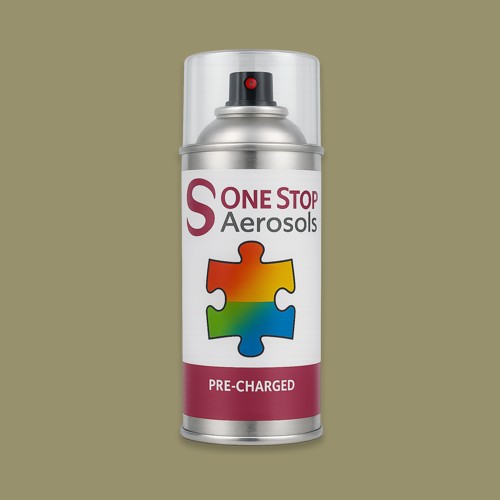 RAL 095 60 20 Aerosol Spray Paint