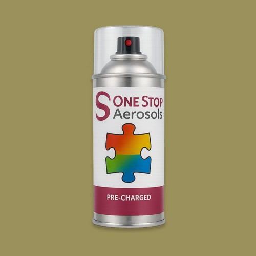 RAL 095 60 30 Aerosol Spray Paint