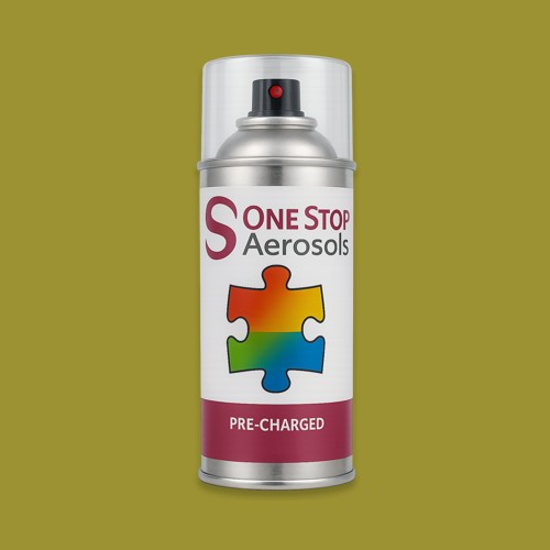 RAL 095 60 50 Aerosol Spray Paint