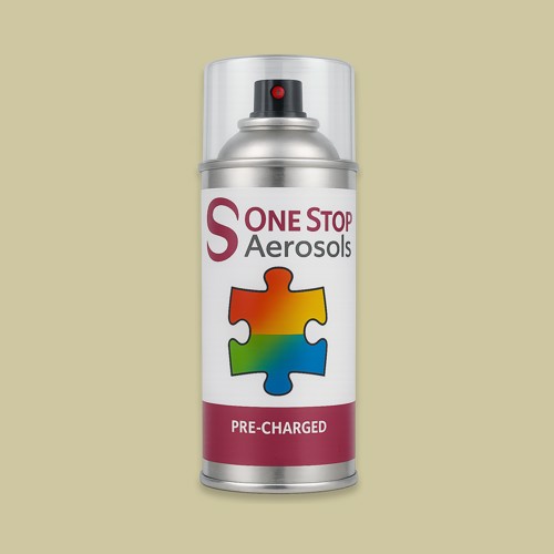 RAL 095 80 20 Aerosol Spray Paint