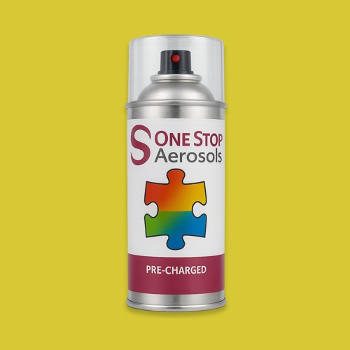 RAL 095 80 70 Aerosol Spray Paint
