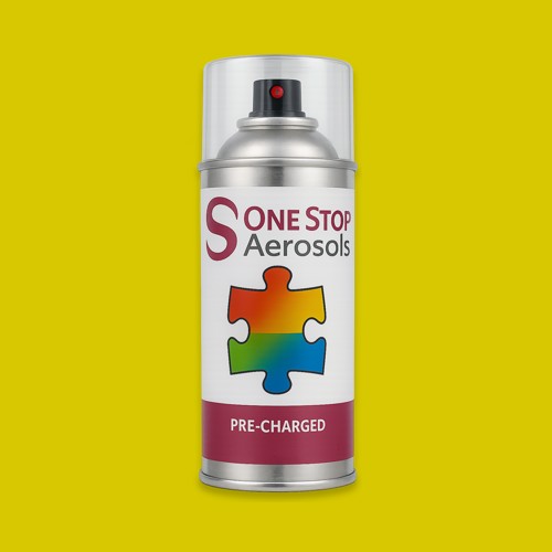 RAL 095 80 80 Aerosol Spray Paint