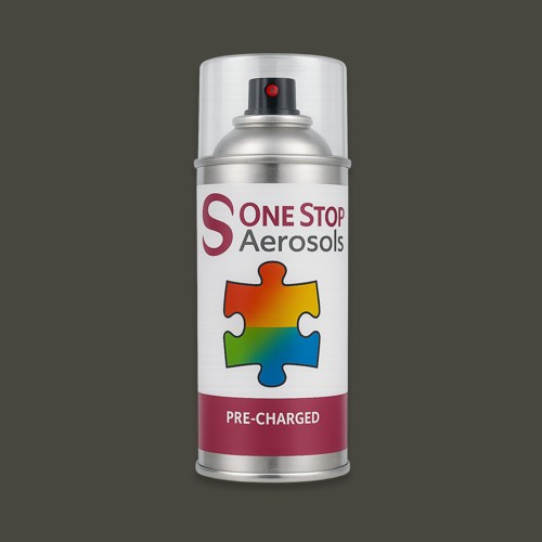 RAL 100 30 05 Aerosol Spray Paint