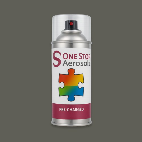 RAL 100 40 05 Aerosol Spray Paint