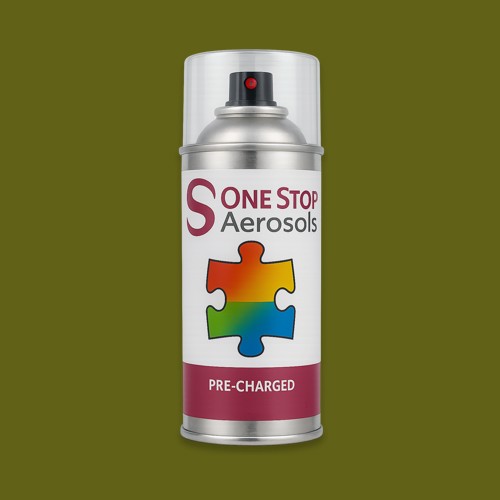 RAL 100 40 40 Aerosol Spray Paint