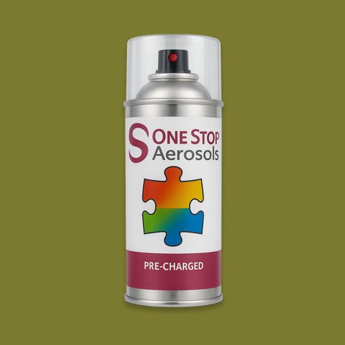 RAL 100 50 40 Aerosol Spray Paint
