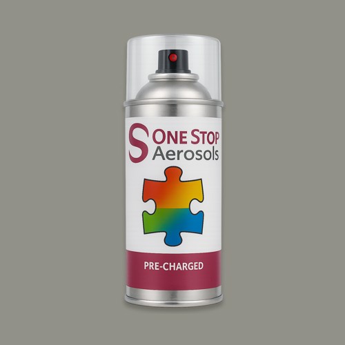 RAL 100 60 05 Aerosol Spray Paint
