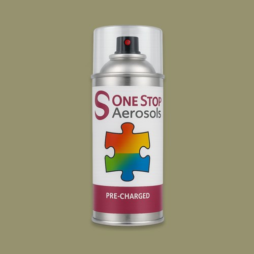 RAL 100 60 20 Aerosol Spray Paint