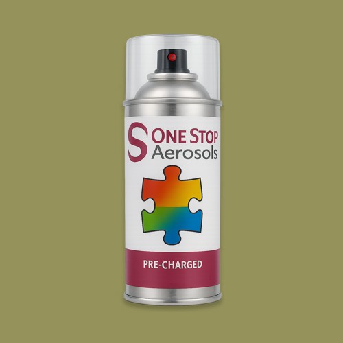 RAL 100 60 30 Aerosol Spray Paint