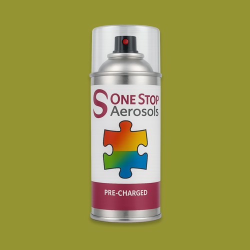 RAL 100 60 50 Aerosol Spray Paint