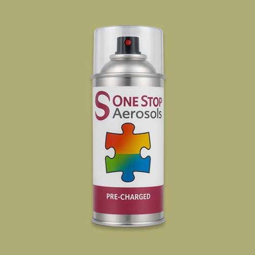 RAL 100 70 30 Aerosol Spray Paint