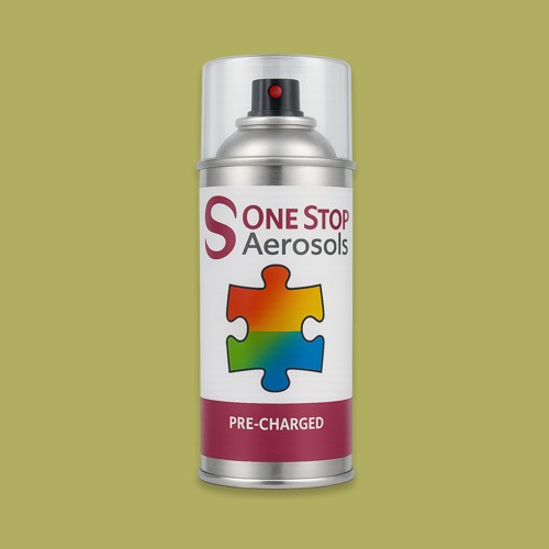 RAL 100 70 40 Aerosol Spray Paint