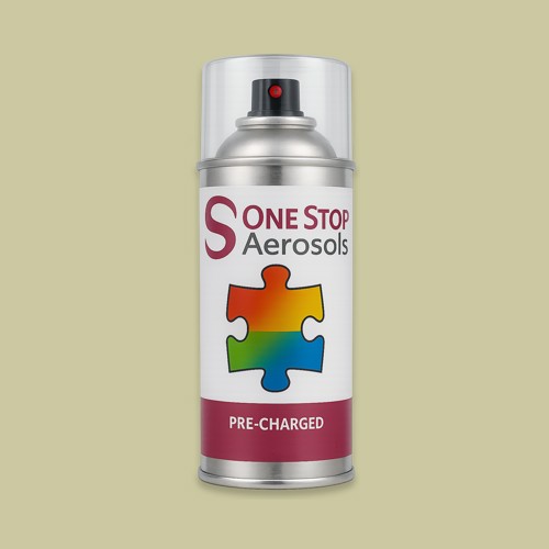 RAL 100 80 20 Aerosol Spray Paint
