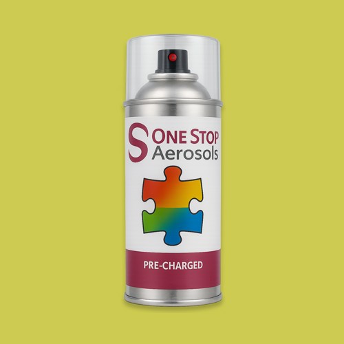 RAL 100 80 60 Aerosol Spray Paint