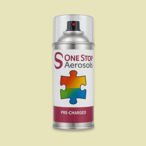 RAL 100 90 20 Aerosol Spray Paint