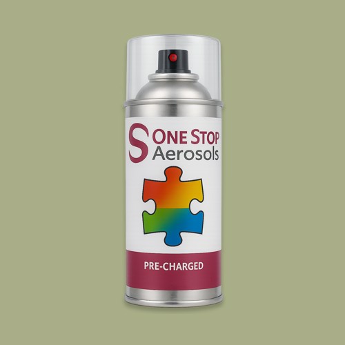 RAL 110 70 20 Aerosol Spray Paint