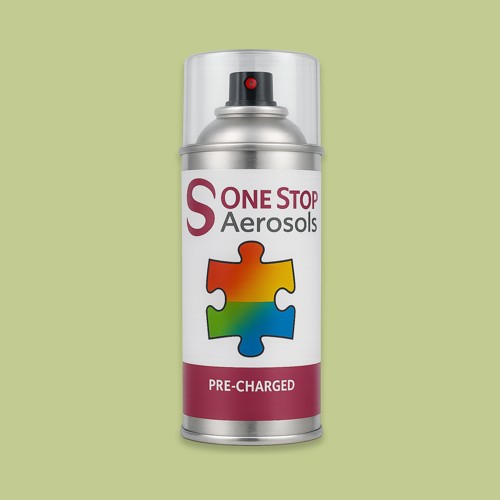 RAL 110 80 30 Aerosol Spray Paint
