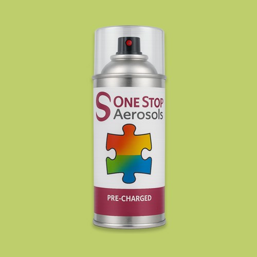 RAL 110 80 50 Aerosol Spray Paint