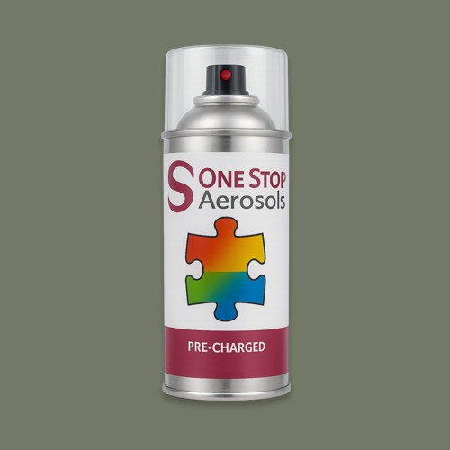RAL 120 50 10 Aerosol Spray Paint