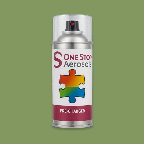 RAL 120 60 30 Aerosol Spray Paint