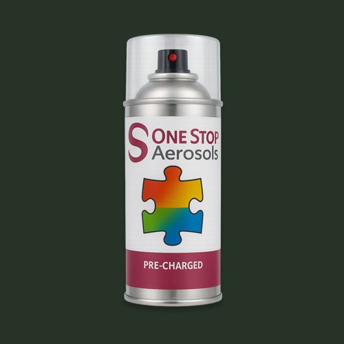 RAL 140 20 10 Aerosol Spray Paint