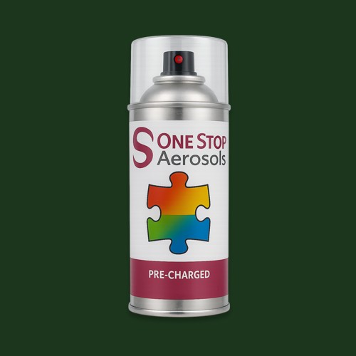 RAL 140 20 20 Aerosol Spray Paint