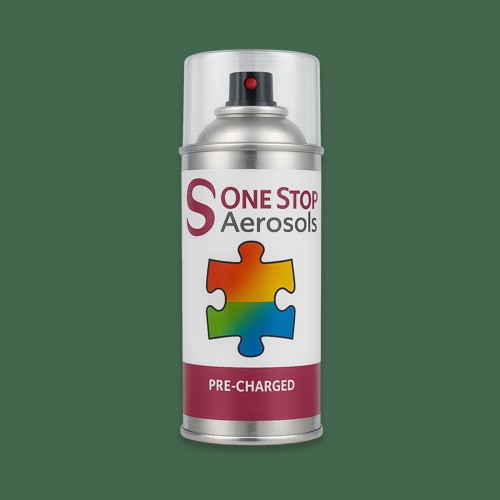 RAL 150 40 20 Aerosol Spray Paint