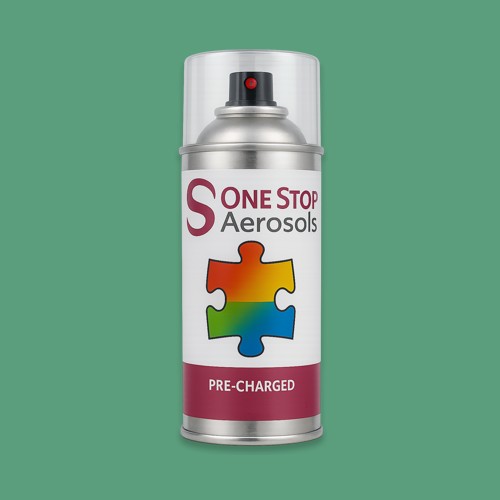 RAL 160 60 30 Aerosol Spray Paint