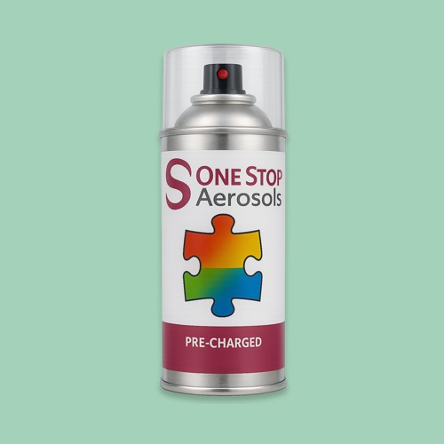 RAL 160 80 20 Aerosol Spray Paint