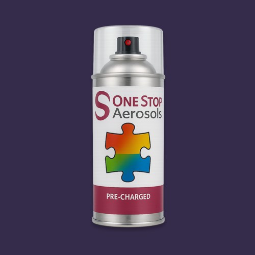 RAL 300 20 20 Aerosol Spray Paint