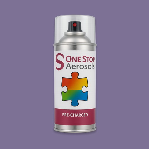RAL 300 50 20 Aerosol Spray Paint