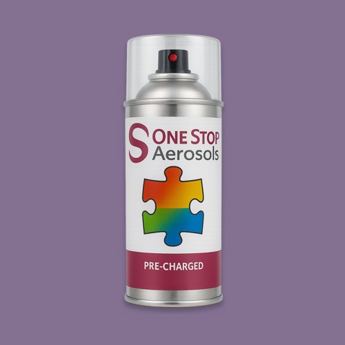 RAL 310 50 20 Aerosol Spray Paint