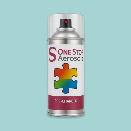 NCS S 1020-B50G Aerosol Spray Paint