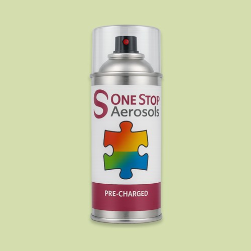 NCS S 1020-G50Y Aerosol Spray Paint